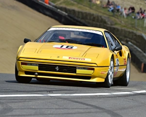 Festival Italia, Brands Hatch, Sunday August 14th 2016 Prints: CM15 7617 Richard Moseley, Ferrari 328 GTB