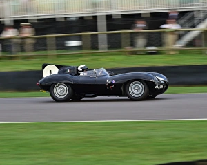Goodwood Revival 2016 Prints: CM16 2322 Harry Wyndham, Jaguar D-Type