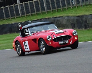 West Sussex Goodwood Revival 2016 Prints: CM16 2537 David Smithies, Jeremy Cooke, Austin Healey 100-6