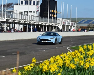 Daffodils Prints: CM17 8384 Merrick Cox, Aston Martin Vantage V12s Roadster