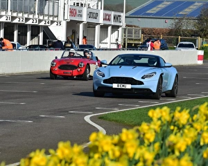 Daffodils Prints: CM17 8404 Merrick Cox, Aston Martin Vantage V12s Roadster-2
