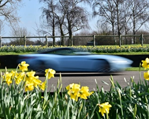 Daffodils Prints: CM17 8703 Merrick Cox, Aston Martin Vantage V12s Roadster