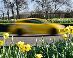 Thursday 2nd March Prints: CM17 8710 William Burgess, Renault 275 Trophy Megane