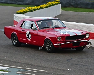 V8 Engines Prints: CM18 2524 Christiaen van Lanschot, Ford Mustang