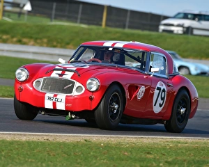 CM18 2948 Will Linley, Austin Healey 3000 MkII