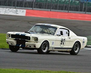 Nick Sleep Prints: CM19 2712 Nick Sleep, Shelby Mustang GT350