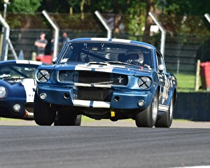 11th June 2017 Prints: CM19 7750 Larry Tucker, Ford Shelby Mustang 350 GTR