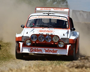 Martin Overington Prints: CM19 9341 Martin Overington, MG Metro 6R4