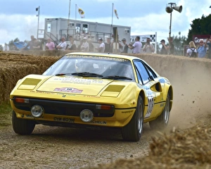 Tony Worswick Prints: CM19 9475 Tony Worswick, Ferrari 308 GTB