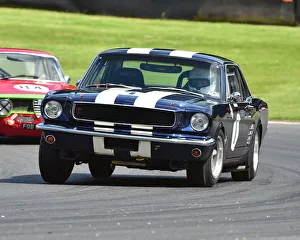 TCR UK Touring Car Race Weekend, Brands Hatch, June 2018 Prints: CM23 8381 Fred Shepherd, Ford Mustang