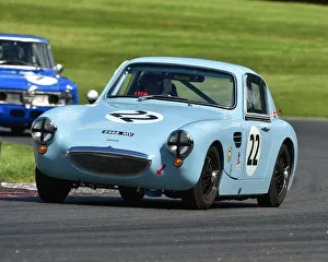 TCR UK Touring Car Race Weekend, Brands Hatch, June 2018 Prints: CM23 8386 Gerard Buggy, Austin Healey Sebring Sprite