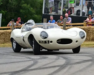 CM24 6440 Andrew Smith, Jaguar D type