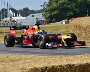 Goodwood Festival Of Speed July 2018 Prints: CM24 7543 Patrick Friesacher, Red Bull Racing-Renault RB8