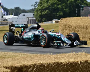 Goodwood Festival Of Speed July 2018 Prints: CM24 7544 Patrick Friesacher, Red Bull Racing-Renault RB8
