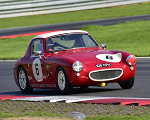 Aston Martin Owners Club Racing, Snetterton, 1st September 2018 Prints: CM25 4816 Neil Fisher, Austin Healey Sebring Sprite