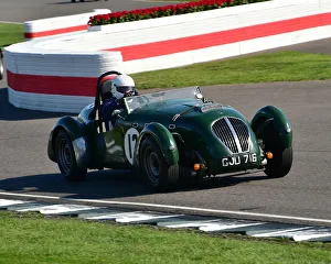 Grahame Bull Prints: CM25 5246 Grahame Bull, Healey Silverstone