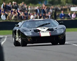 CM25 7641 Christian Glaesel, Ford GT40