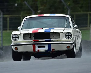Brands Hatch Spray Prints: CM25 8391 Jonathan Miles, Ford Mustang