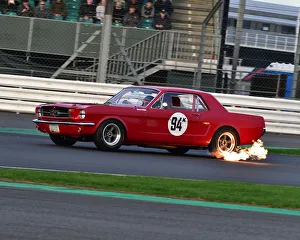 CM26 1546 Warren Briggs, Ford Mustang