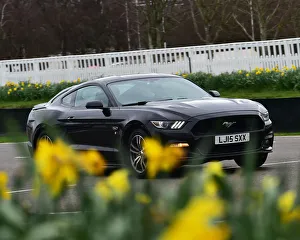 2nd March 2017 Prints: CM26 8792 Martin Overington, Ford Mustang