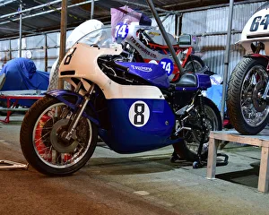 Goodwood 77th Members Meeting, April 2019 Prints: CM27 2989 Rob North Triumph T150