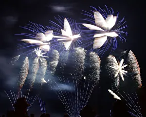 CM27 3035 Firework display