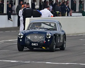 Richard Woolmer Prints: CM27 3796 Richard Woolmer, Austin Healey 100 Coupe