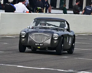 Mike Thorne Prints: CM27 3797 Mike Thorne, Austin Healey 100M