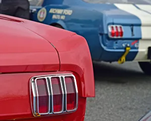 Alasdair Coates Prints: CM27 9037 Alasdair Coates, Ford Shelby Mustang GT350, Larry Tucker, Simon Butler