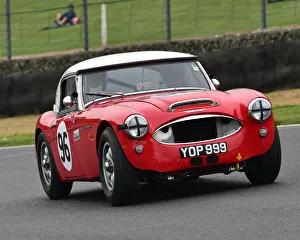 CM27 9076 Jeremy Welch, Nils-Fredrik Nyblaeus, Austin Healey 3000