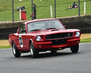 CM27 9078 Alasdair Coates, Ford Shelby Mustang GT350