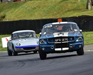 CM28 0120 Larry Tucker, Simon Butler, Ford Shelby Mustang GT350 CM28 0120 Larry Tucker, Simon Butler, Ford Shelby Mustang GT350
