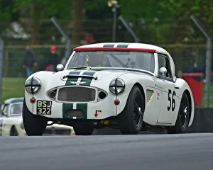 CM28 1757 Richard Hywel Evans, Austin Healey MK1
