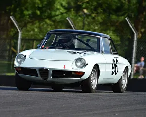 HSCC 70s Road Sports Prints: CM28 6567 Adam Ross, Alfa Romeo 1750 Spider Veloce