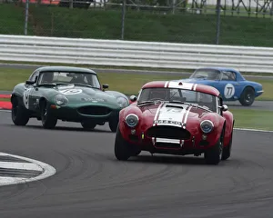CM29 3199 Shaun Lynn, AC Cobra