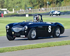 Woodcote Prints: CM29 4757 Michael Lyons, Austin Healey-Corvette BN1