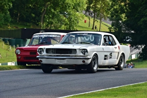 HSCC Wolds Trophy, Cadwell Park Prints: CM3 2397 Mark Watts, Ford Mustang