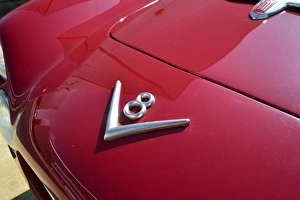 CM3 8304 FIAT, Otto Vu, V8