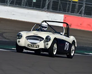 17th April 2021 Prints: CM30 5419 Matthew Collings, Austin Healey 100M