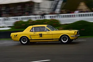 CM32 0272 Alex Taylor, Andy Priaulx, Ford Mustang