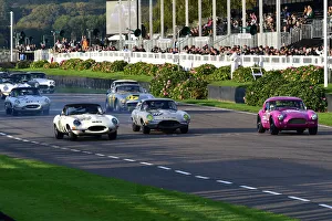 Moss Trophy Prints: CM32 1938 Two E-types and an AC Cobra