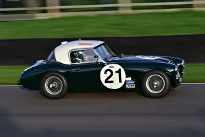 CM32 1991 Christiaen van Lanschot, Austin Healey 3000 Mk1