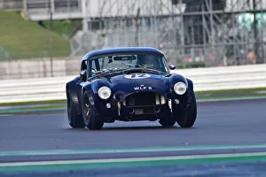 Shelby Cobra Prints: CM32 3083 Richard Cook, James Cottingham, Shelby Cobra