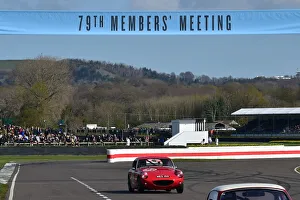 Weslake Cup Prints: CM32 7538 Gordon Elwell, Austin Healey Sebring Sprite