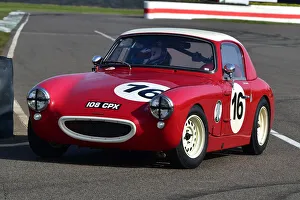 Weslake Cup Prints: CM32 7586 Ellis Bardsley, Austin Healey Sebring Sprite