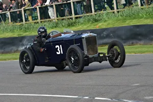 Winston Teague Prints: CM32 7885 Winston Teague, Frazer Nash Falcon