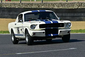 CM33 2708 Jeremy Cooke, Tommy Waterfield, Ford Shelby Mustang GT350