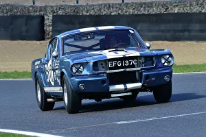 CM33 2735 Larry Tucker, Paul Kennelly, Ford Shelby Mustang GT350