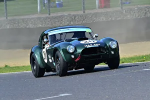 Charles Allison Prints: CM33 2756 Charles Allison, Peter Thompson, Shelby American Cobra
