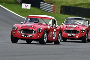 Gentlemen Drivers Pre-1966 GT Cars Prints: CM33 3590 Crispin Harris, James Wilmoth, Austin Healey 3000